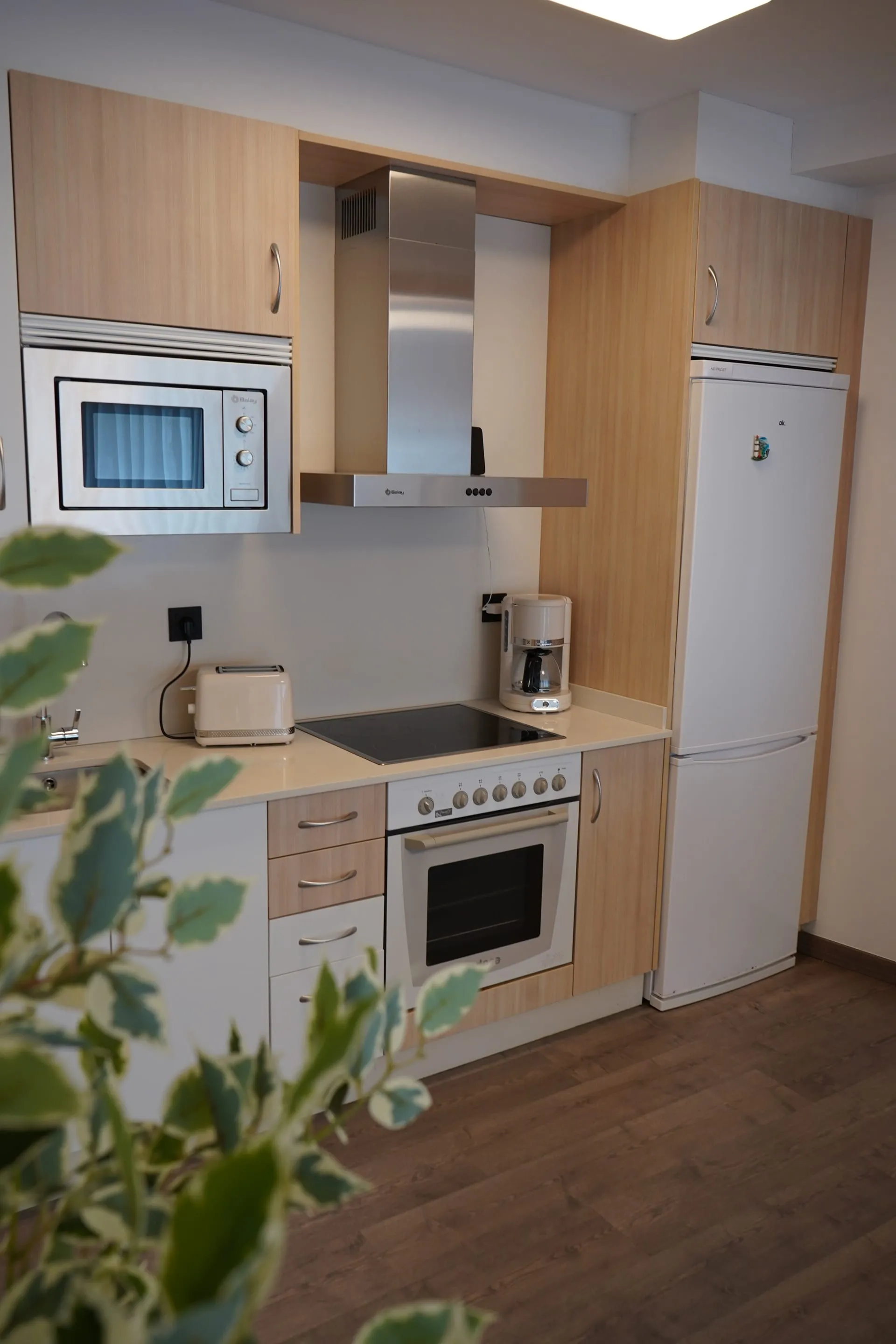 Detalle de la cocina equipada